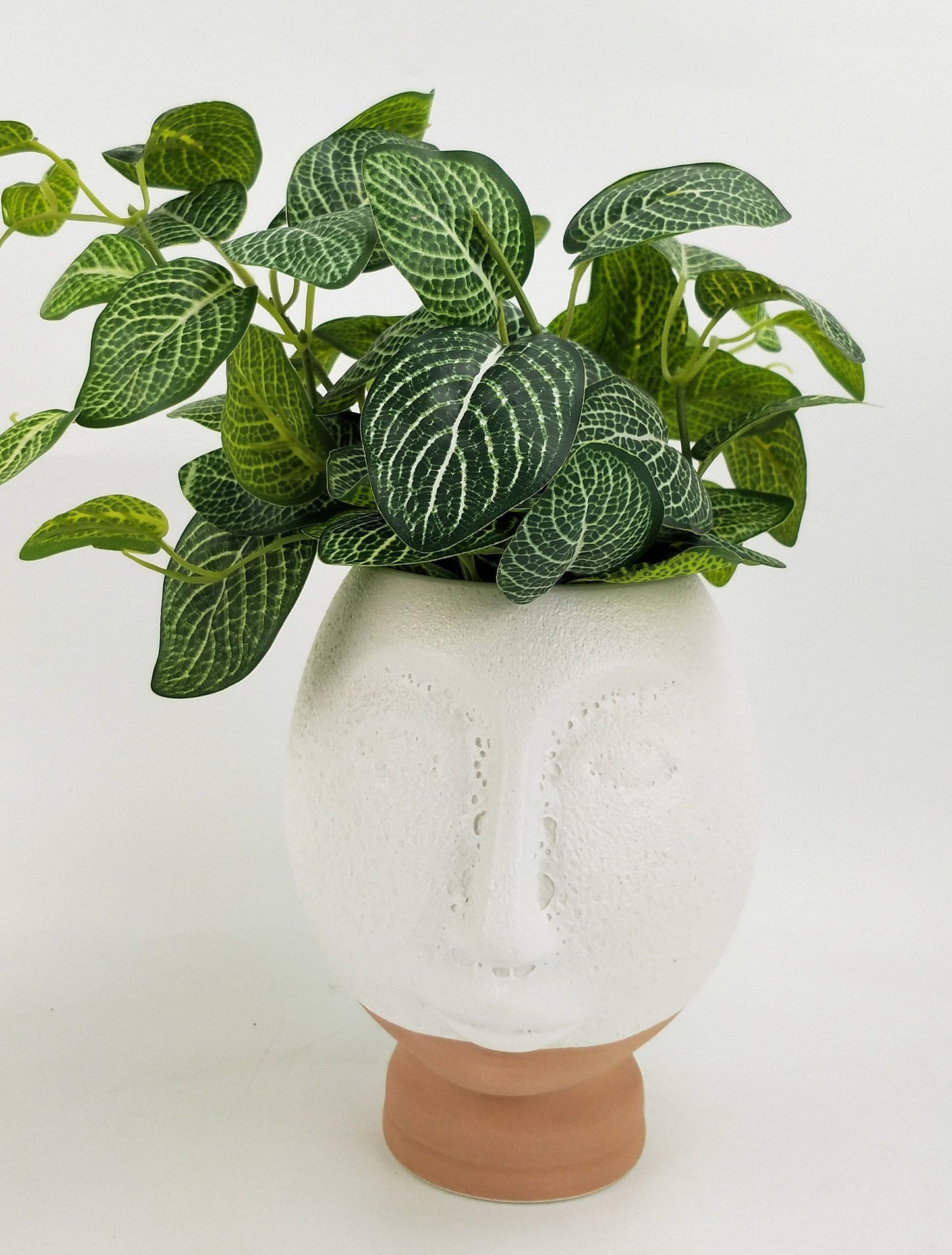 Kendall Face Vase (Small)